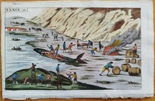 Wal Walfang (H) - Wilhelm