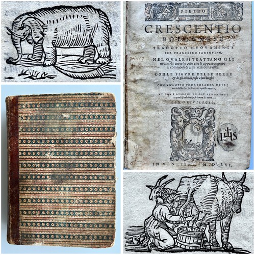 Antikes kräuterbuch 1561 - kräuterbuch, 1561/