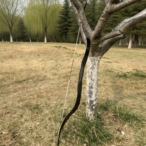 Archery black tatar bow - af,