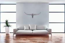 FineBuy Deko Geweih Bull "S"