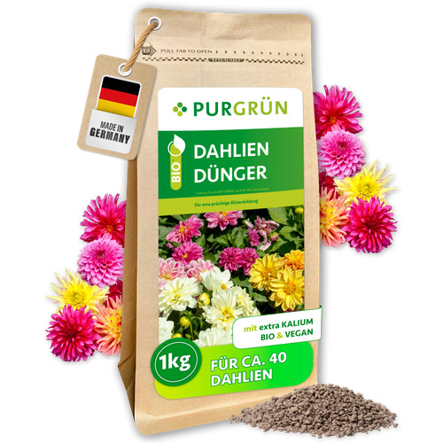 Purgrün bio dahlien - bio, dünger