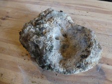 Quellstein Brunnenstein mit