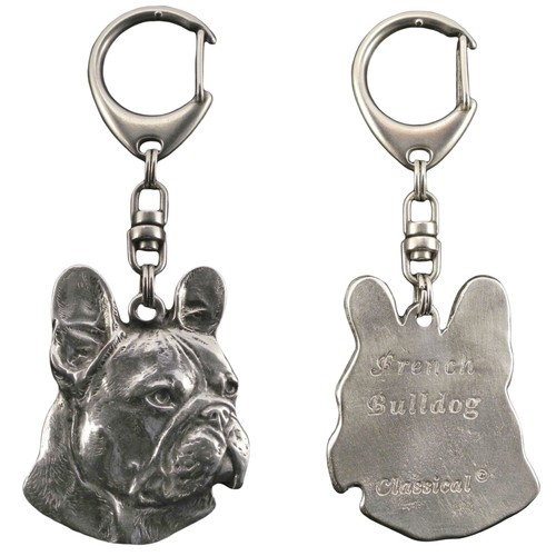 Französische bulldogge - bulldogge,