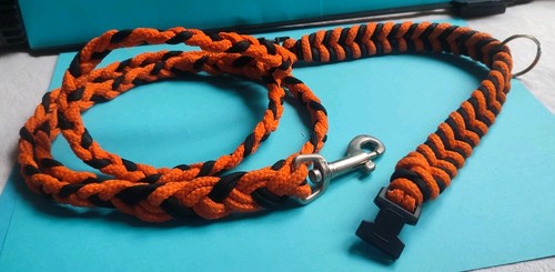 Hundeleine und hundehalsband - hundeleine,