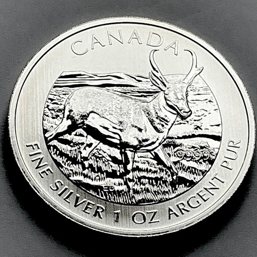 Kanada canada dollar 2013 - kanada, 5