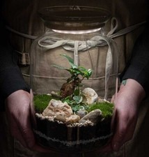 Glasgarten DiY Set mit