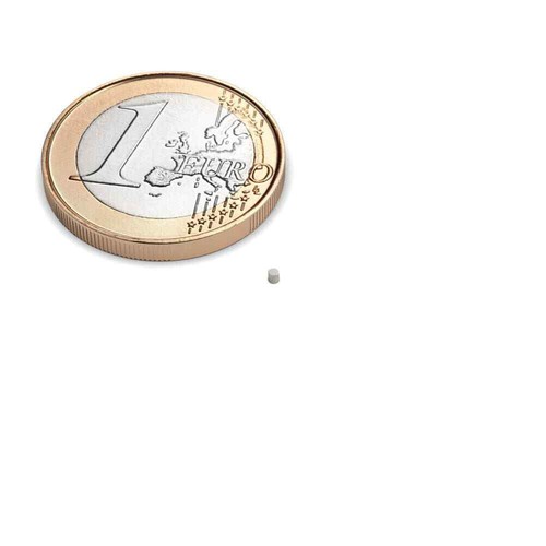 10er set scheibenmagnet - 10er,