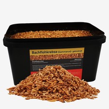 5 Liter Bachflohkrebse im Eimer Koifutter Koi Gammarus Vogel Reptilien Fisch