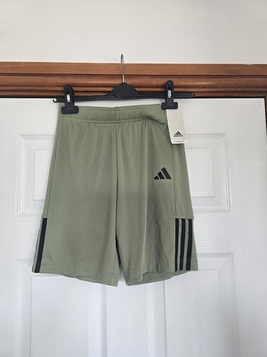 Adidas sereno short jn00 zelt - sereno,