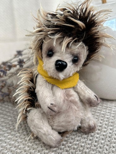Miniature teddy igel - miniature, spiky