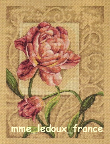 Usa set graceful - graceful, tulip