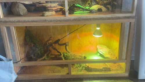 Holz terrarium mit - holz-terrarium,
