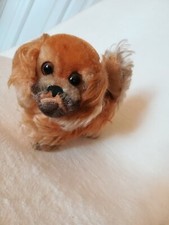 Steiff 4120/14 Hund Pekinese