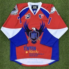 Die adler mannheim - die, eishockey