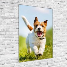 Wand-Bild Kunstdruck aus
