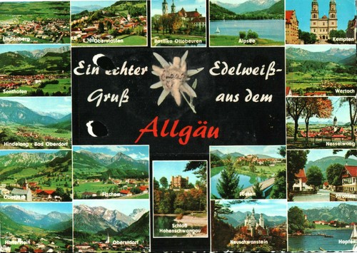 Ein echter edelweiß gruß aus - ein,