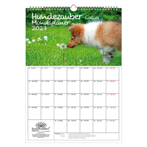 Hundezauber collies planer din - hundezauber,