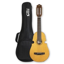 10 String Electric Acoustic