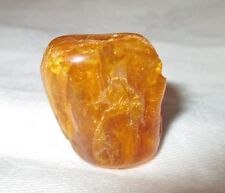 Bernstein Inkluse ~ Einschluss ~ Mücke ~ Moskito ~ Baltic~ Amber