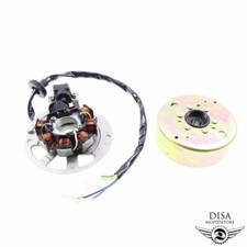 Lichtmaschine + Polrad