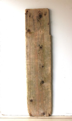 Treibholz schwemmholz - treibholz,