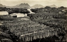 Ak Stamsund Norwegen, Gestelle mit Trockenfisch - 4774963