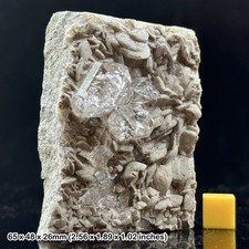 Seltener Herkimer Diamant Quarz mit natürlichen Doppelabschlüssen aus Belutschistan