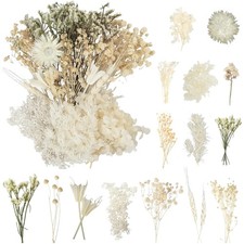 Trockenblumen Set Weiß Blumen