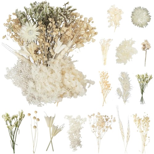Trockenblumen set weiß - set, blumen