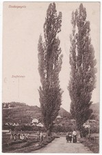 alte Ak Dresden Niederpoyritz