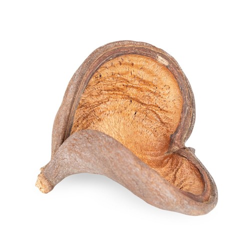 Badam schote natur - badam,