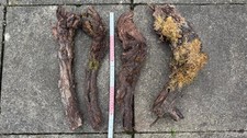4 x Alte Weinbergsstöcke