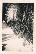 Foto WKII Wehrmacht Soldaten Spaß Winter Abstieg Drachenfels Riesengebirge K1.85