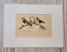 1852 Lithographie Kunstdruck