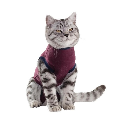 Jacketz medical body - jacketz, katze