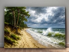 Wilde Ostseeküste -