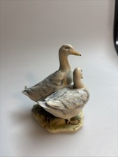 2508008 AK Kaiser Enten Paar