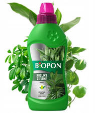 Grünpflanzen Dünger Palmen