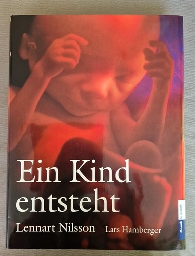 Ein kind entsteht - kind,