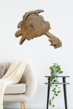 Wandbild wurzelholz - wandbild,