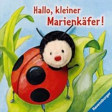 Hallo kleiner marienkäfer - hallo,,