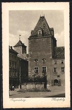 Ansichtskarte Regensburg, Haidplatz mit Brunnen und historischem Gebäude 