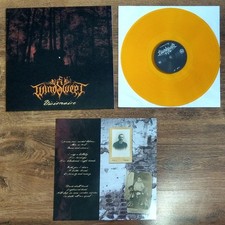 WINDSWEPT – Visionaire, LP