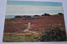 AK Insel Sylt Friesenhäuser in der Kampener Heide Bahnpost