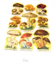 Glanzbilder Oblaten DDR