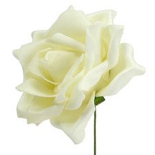 Foam Rosen Creme Ø15cm 4 St -