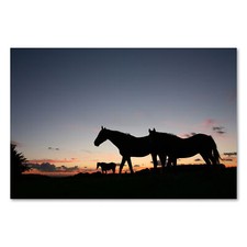 Postereck 0921 Poster Leinwand Pferde, Sonnenuntergang Tiere Natur Abend Reiten
