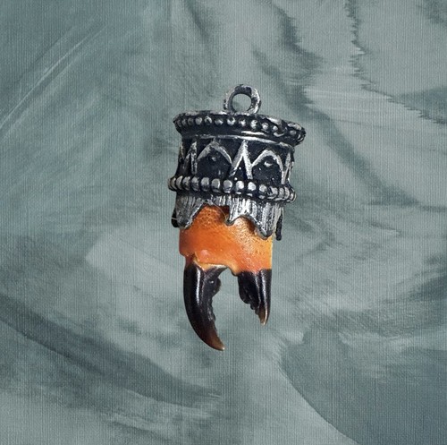 Charivari scharivari krebs - scharivari,