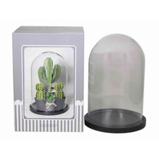 Inna glas glassturz sabika - inna-glas,