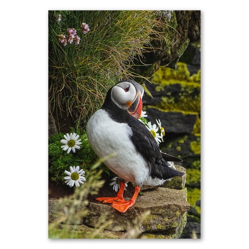 Postereck 3209 poster - postereck,
